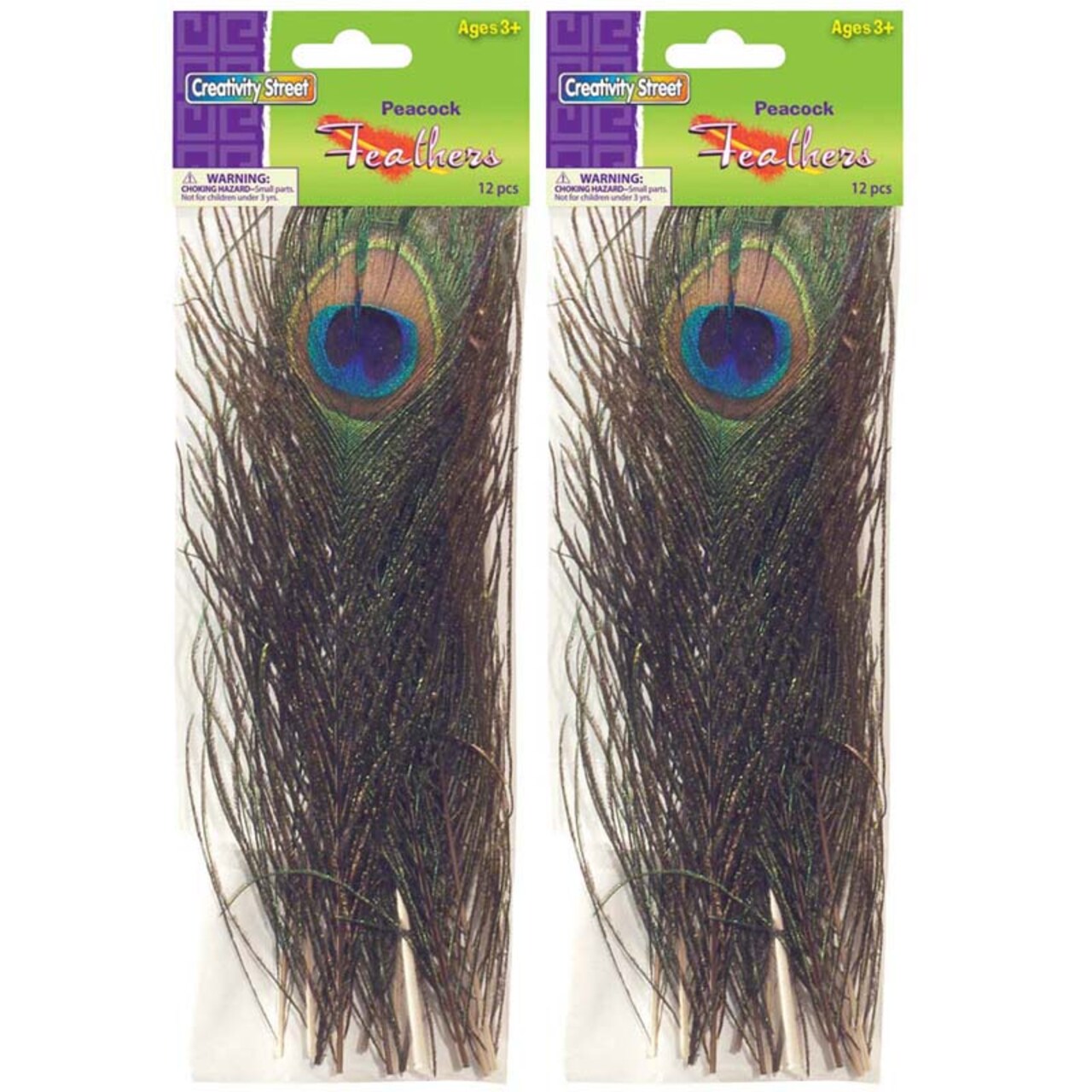 Peacock Feathers, Standard Size, 10" To 11", 12 Per Pack, 2 Packs
